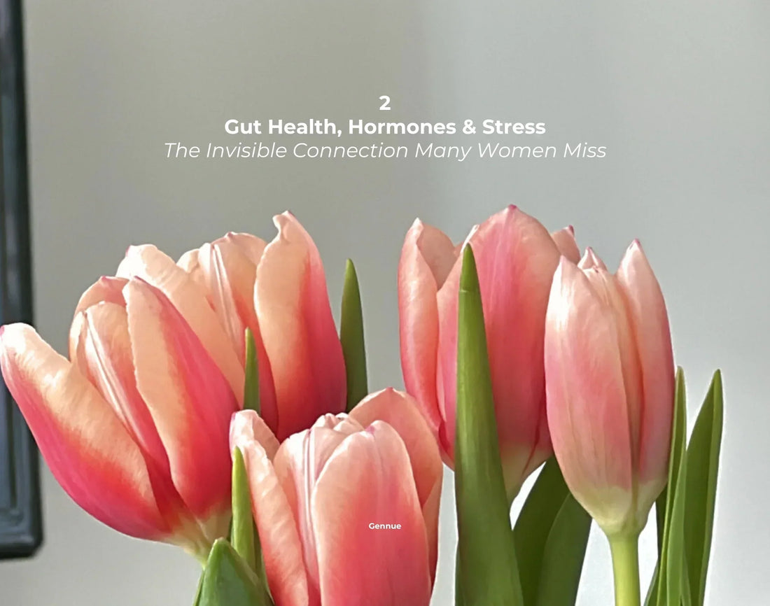 P.2 Gut Health, Hormones & Stress | The Invisible Connection Many Women Miss