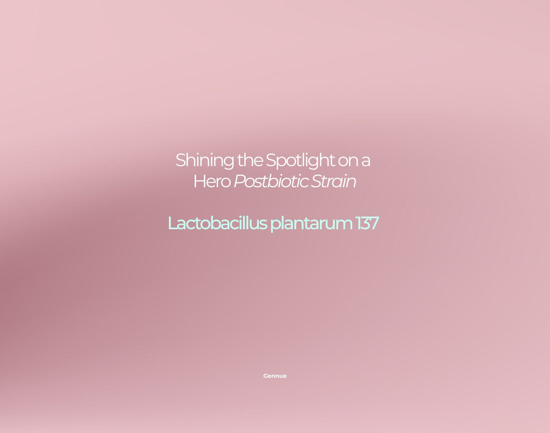 Shining the Spotlight on a Hero Postbiotic Strain | Lactobacillus plantarum 137