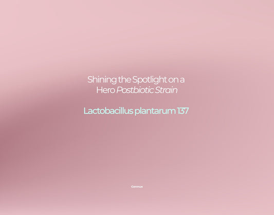 Shining the Spotlight on a Hero Postbiotic Strain | Lactobacillus plantarum 137